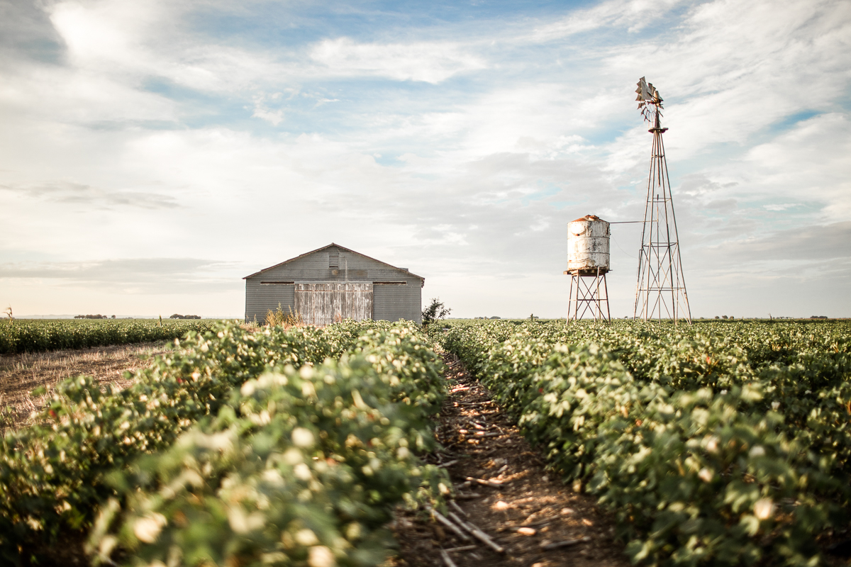 West-Texas-Sunset-Session-29.jpg