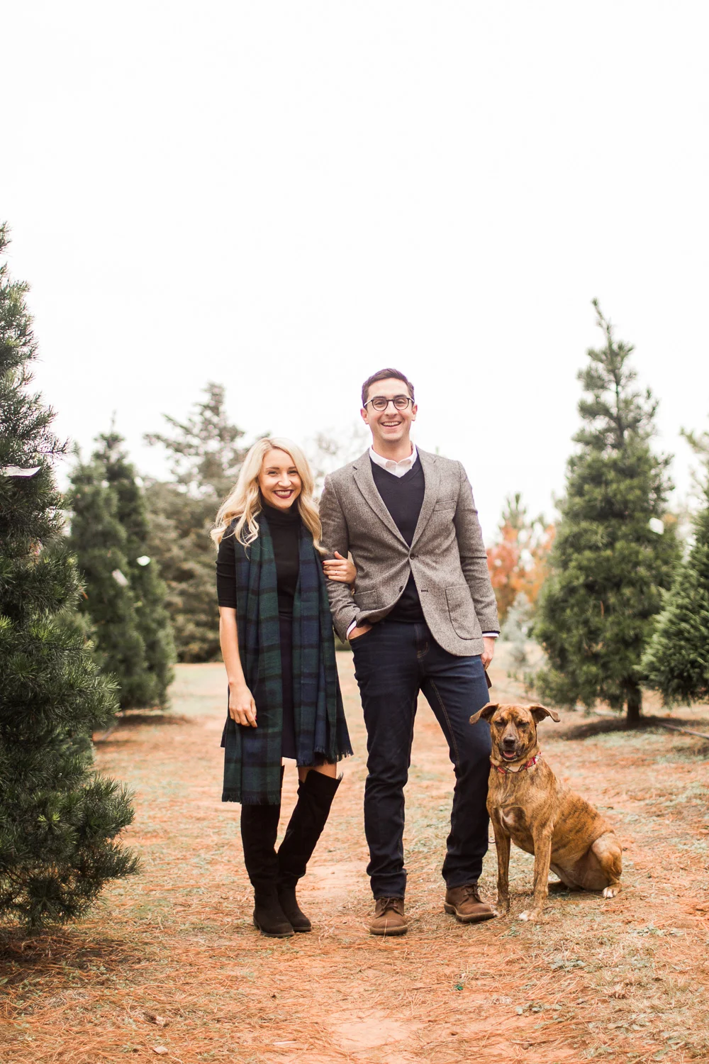 Sorghum-Mill-Christmas-Tree-Farm-Edmond-2.jpg
