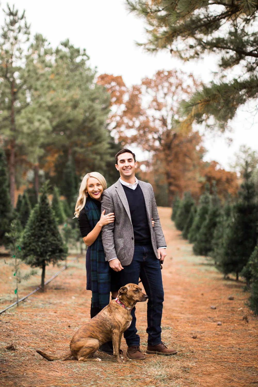 Sorghum-Mill-Christmas-Tree-Farm-Edmond-4.jpg