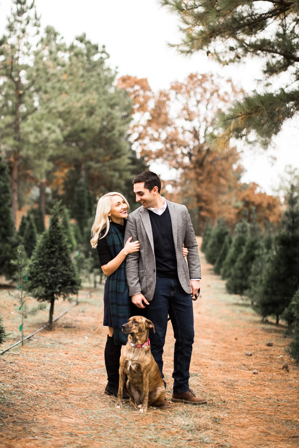 Sorghum-Mill-Christmas-Tree-Farm-Edmond-5.jpg