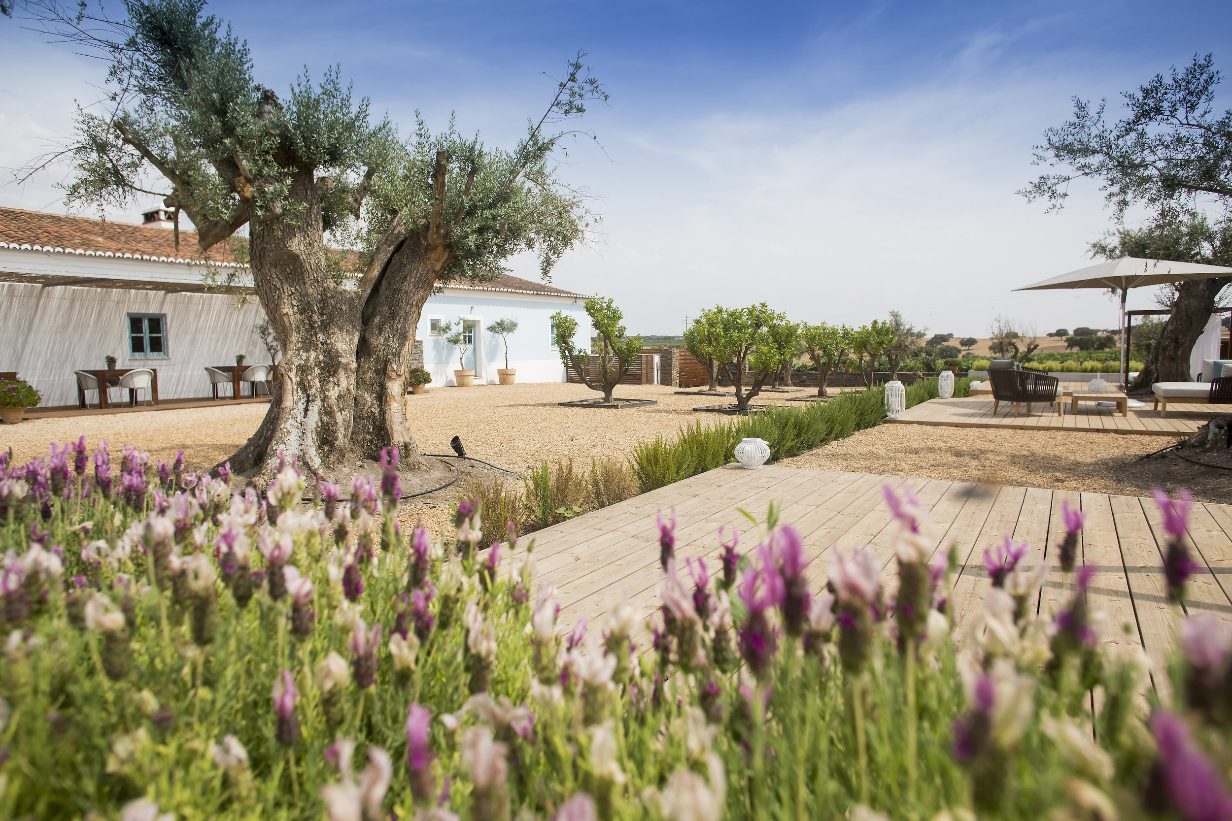 Foto cortesía de Herdade da Malhadinha Nova