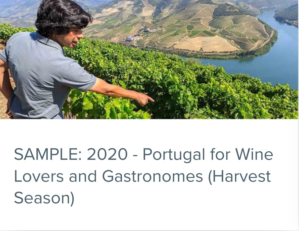 Portugal for Wine Lovers and Gastronomes 