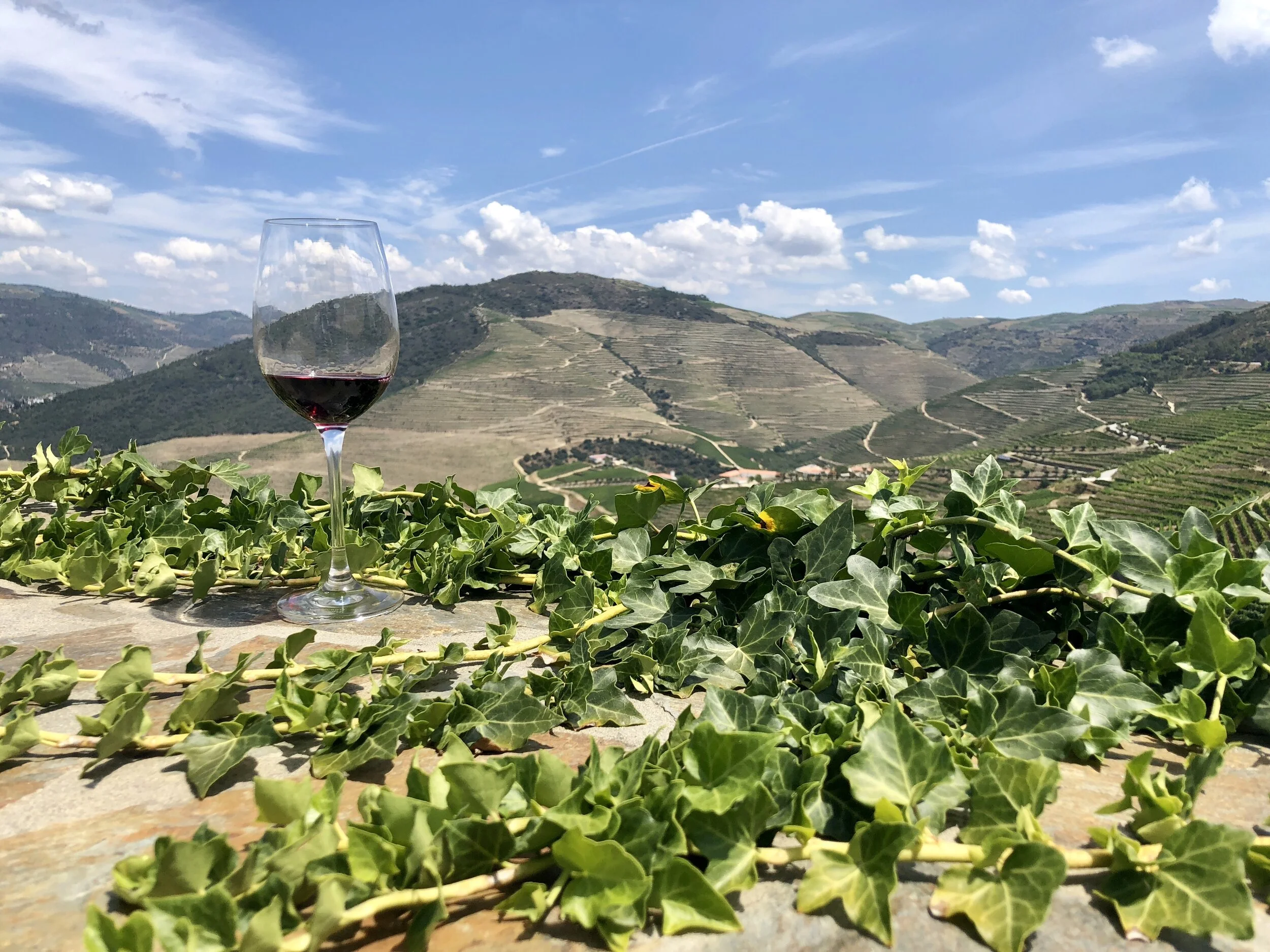 Sheree’s Top Five Portuguese Wines for Spring &amp; Summer 2020