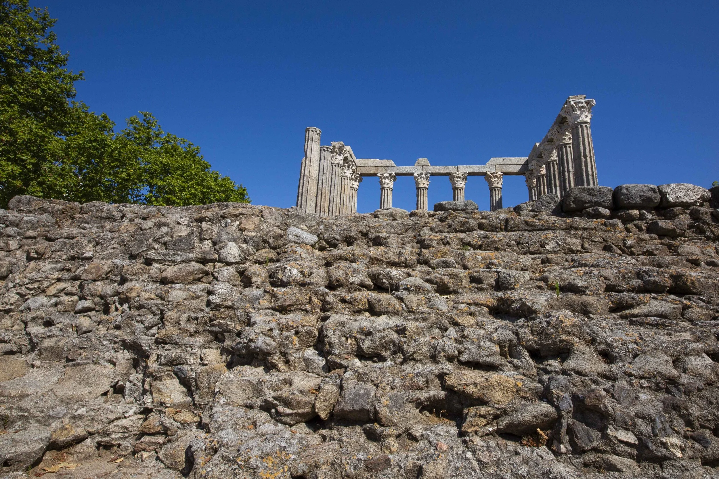 Sheree M. Mitchell Portugal Road Trip Immersa Global 