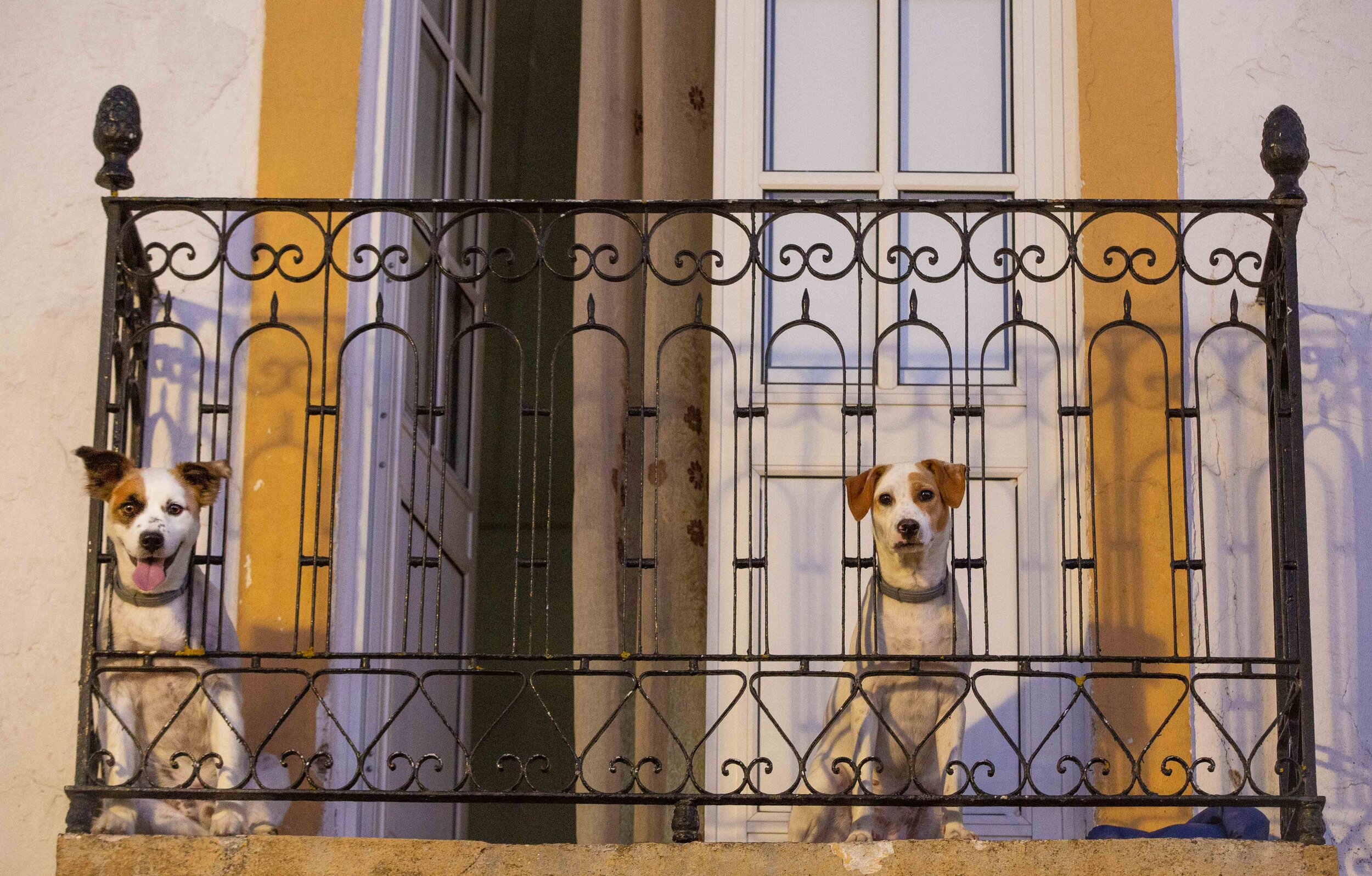 Sheree M. Mitchell Portugal Road Trip Immersa Global 