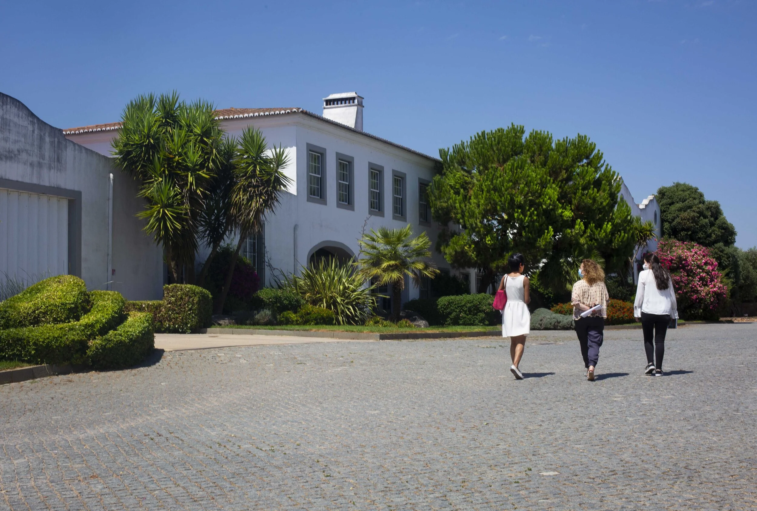 Sheree M. Mitchell Portugal Road Trip Immersa Global 