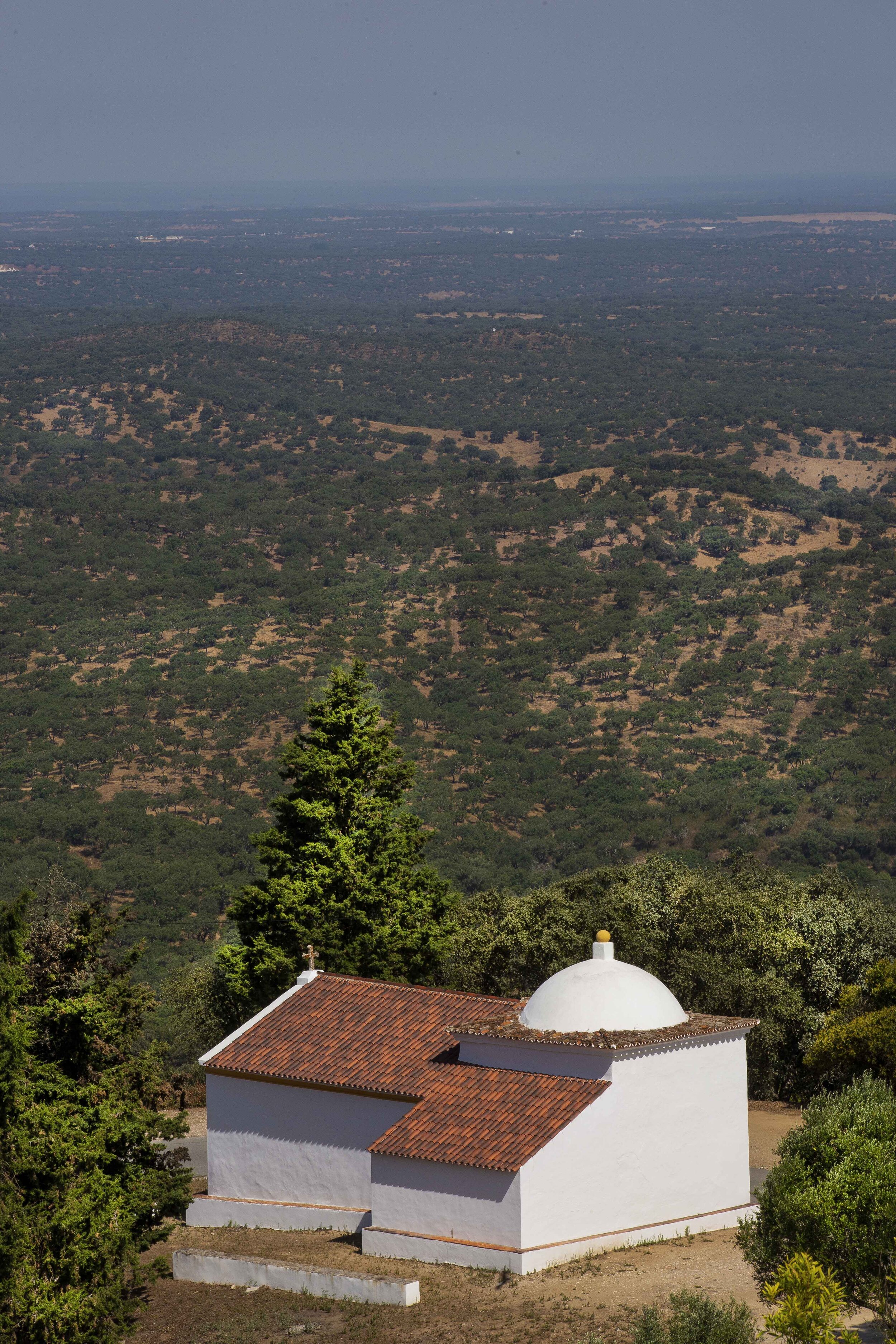 Sheree M. Mitchell Portugal Road Trip Immersa Global 