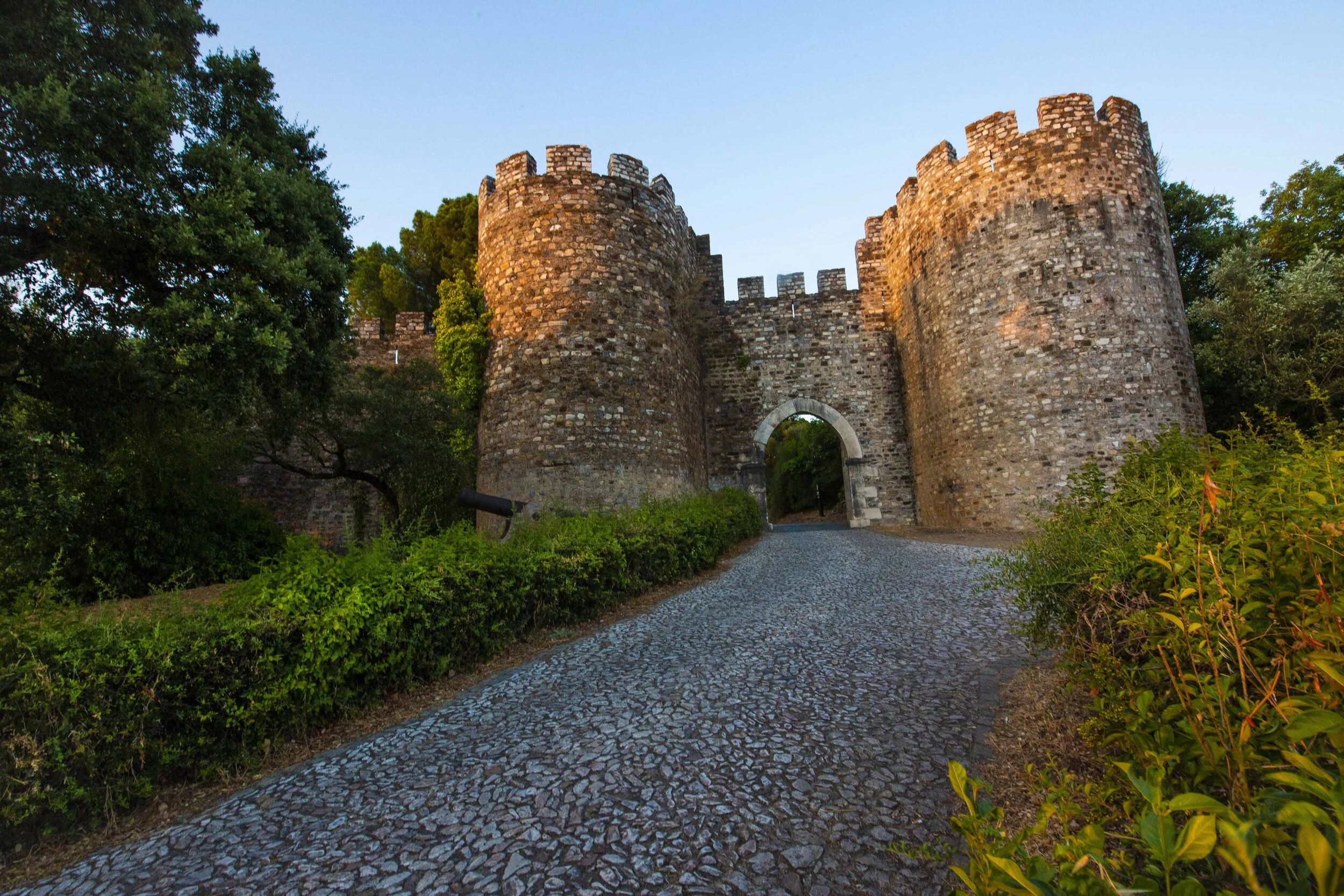 Sheree M. Mitchell Portugal Road Trip Immersa Global 