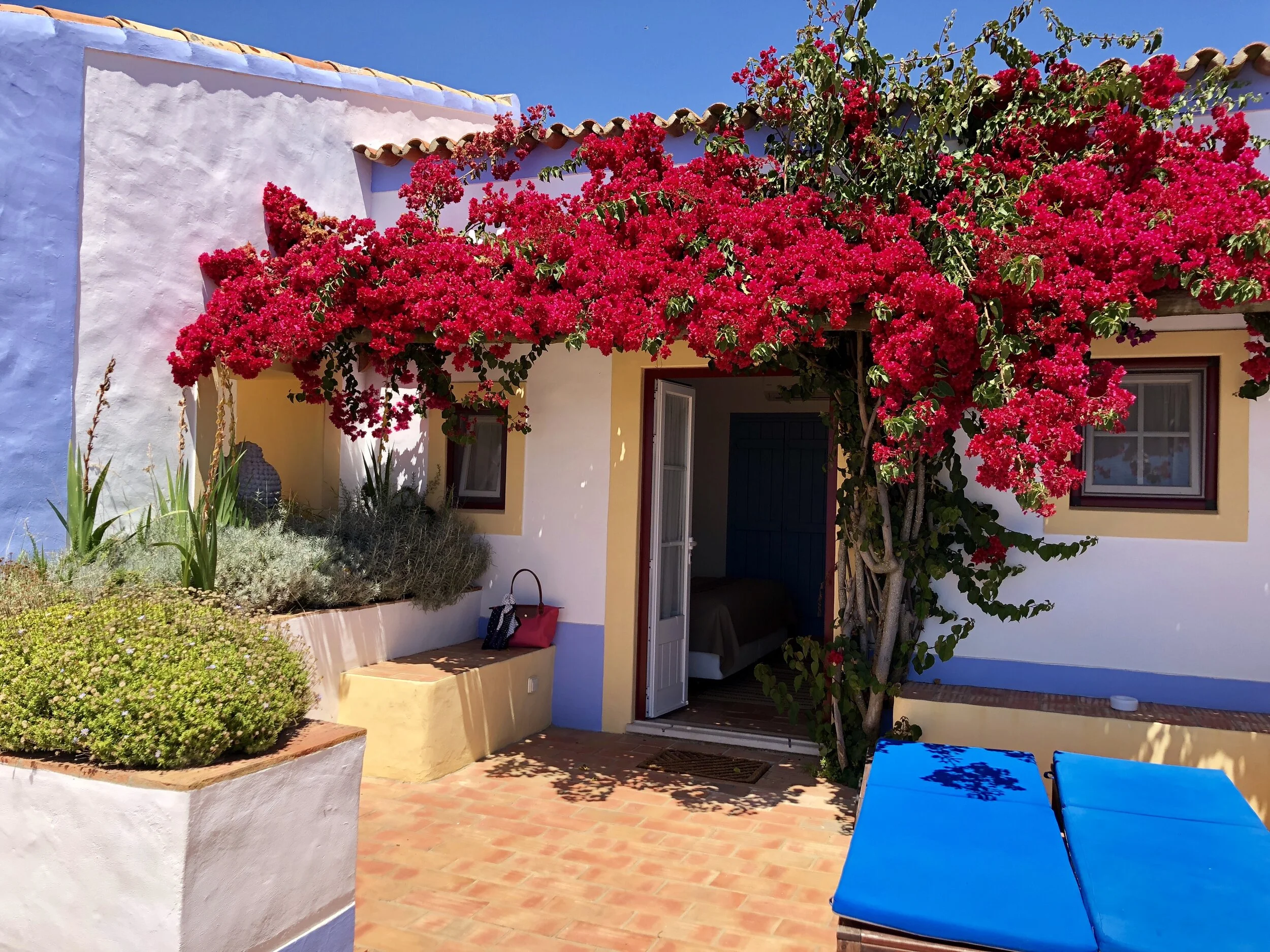 Sheree M. Mitchell Portugal Road Trip Immersa Global 