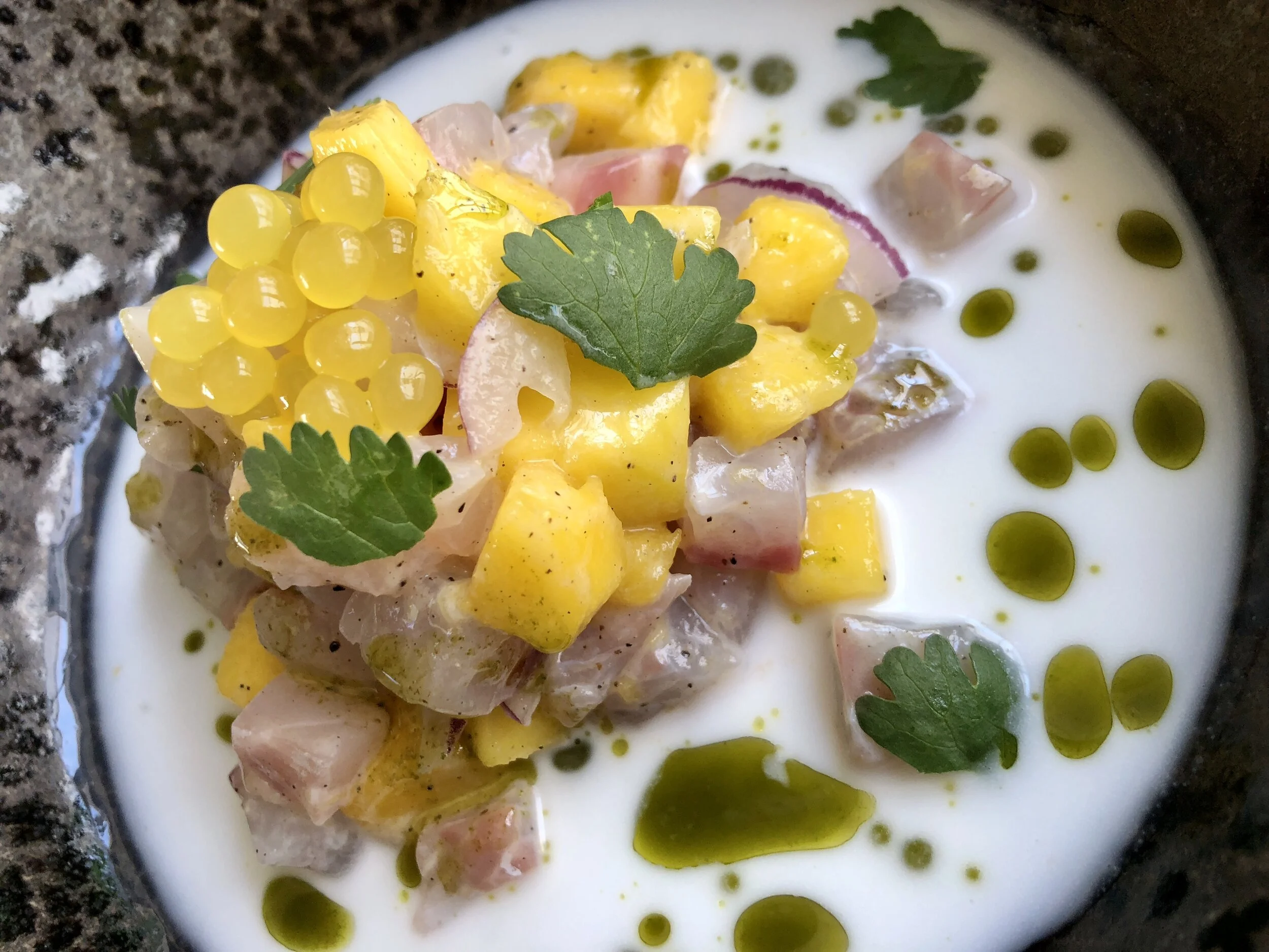 Sheree M. Mitchell Portugal Road Trip Immersa Global 