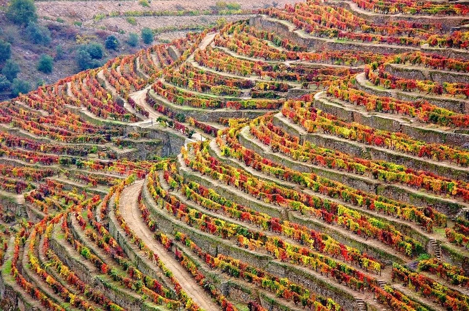 fall_getaways_portugal.jpeg