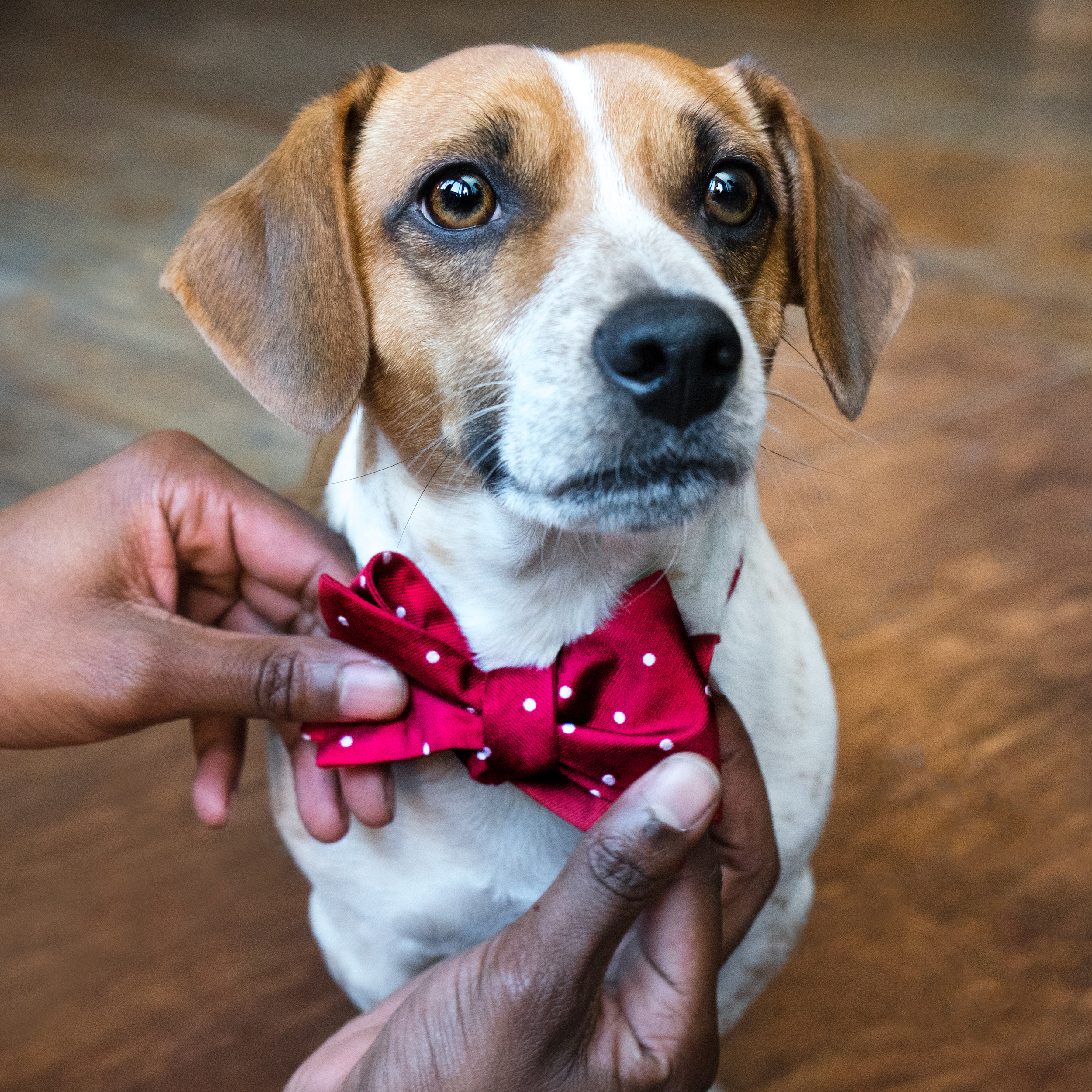   Created content for Men's Wearhouse's social channels.&nbsp;  