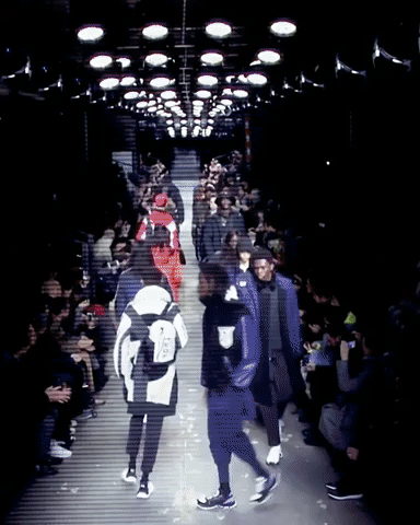 giphy-3.gif