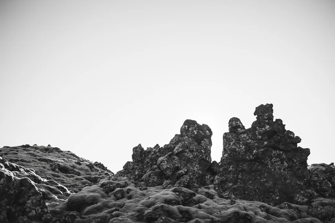 _DSC5654.jpg