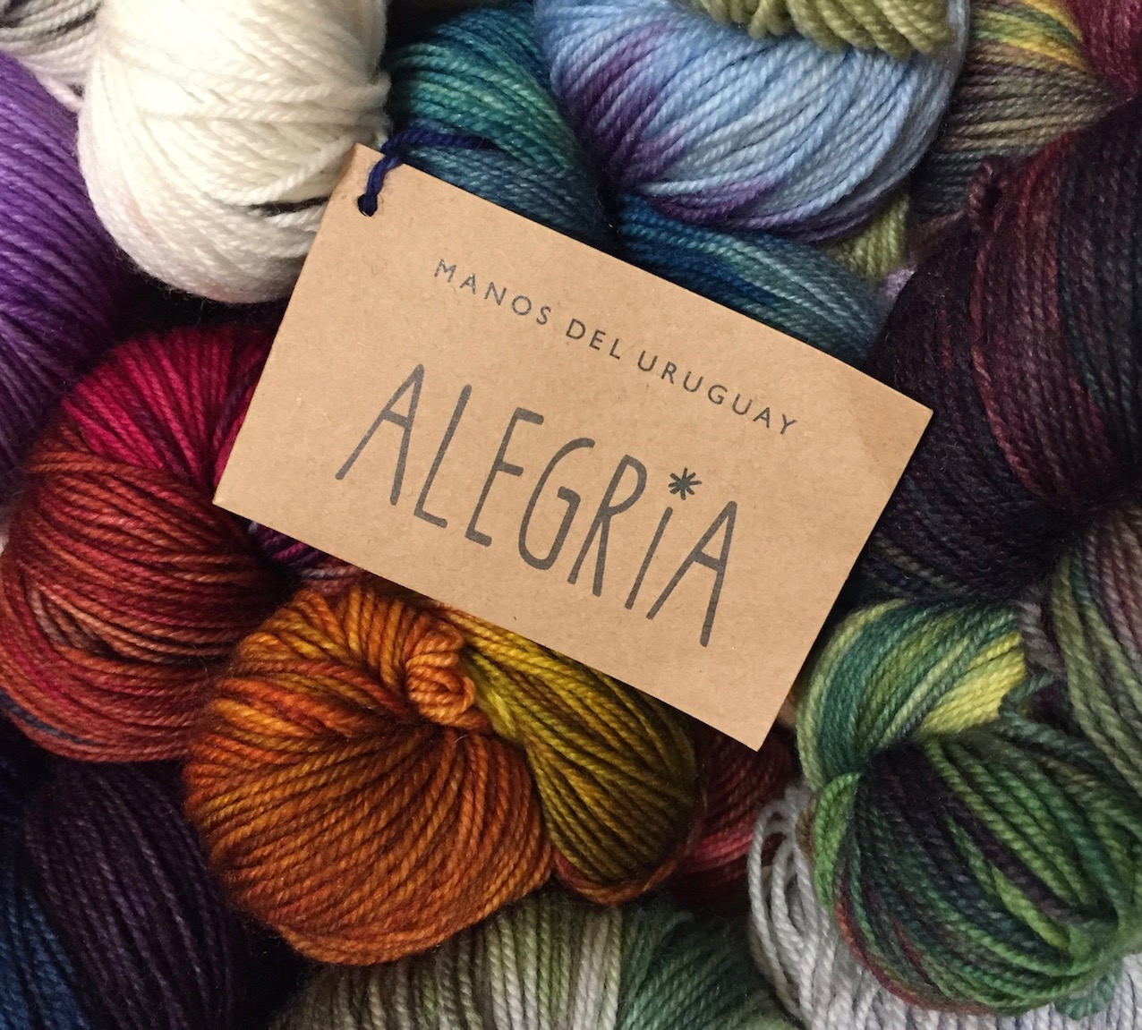 Manos del Uruguay Alegria Sock Yarn