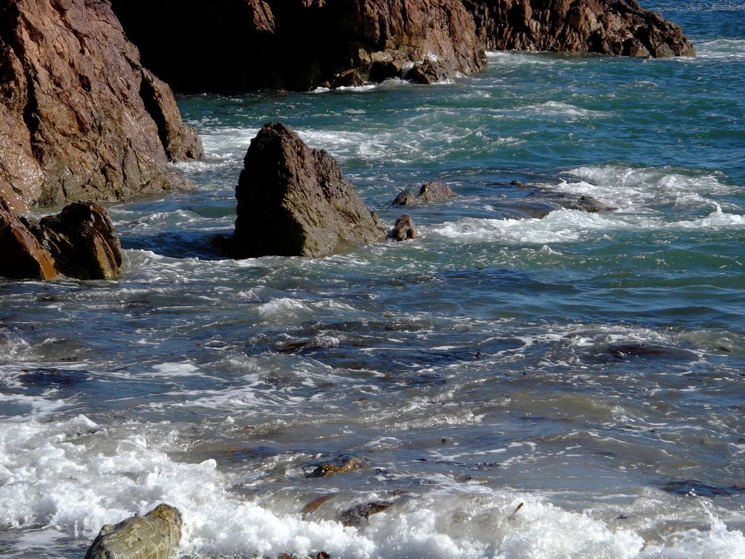 The green sea ...