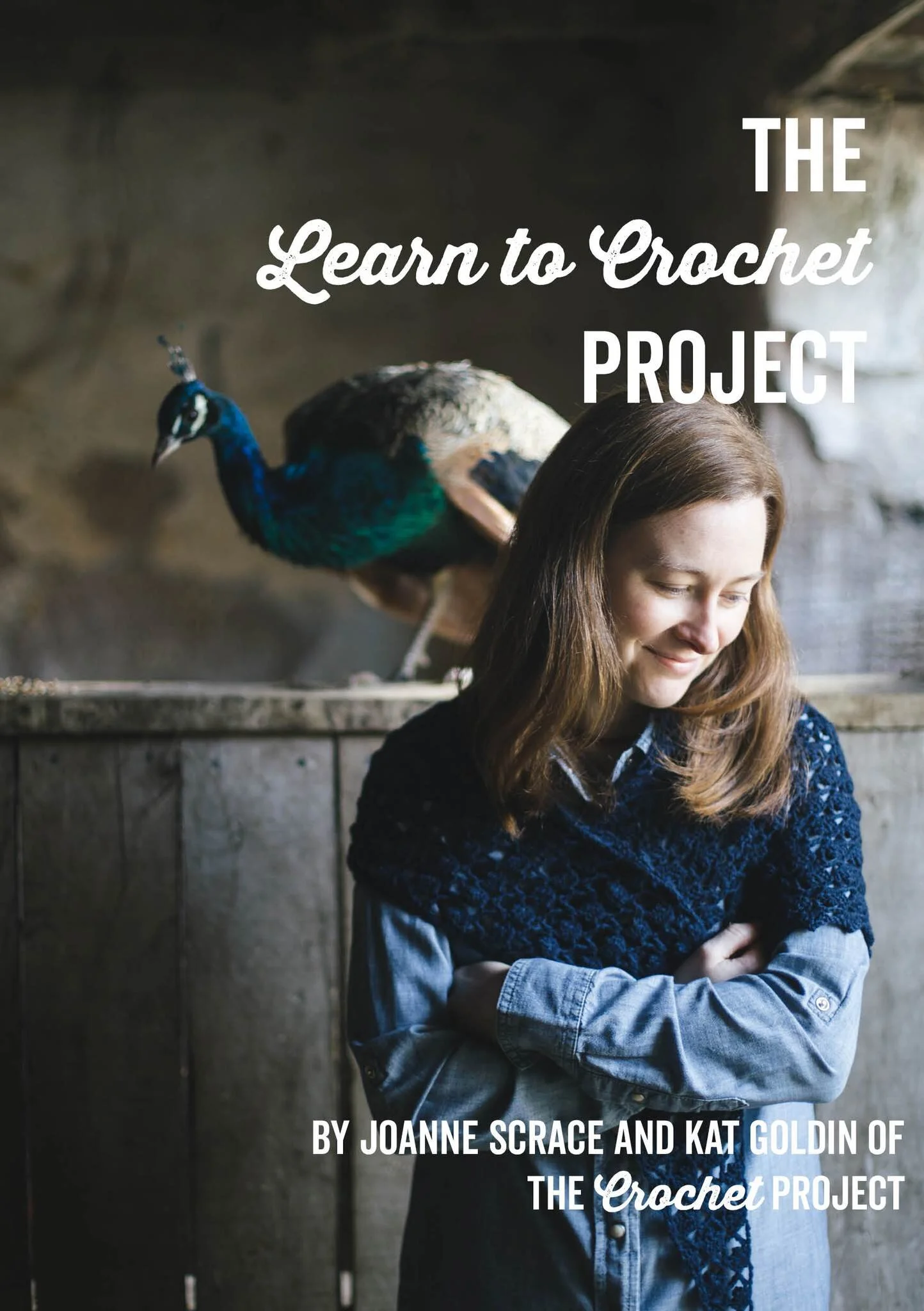 The Learn to Crochet Project by Joanne Scrace and Kat Goldin