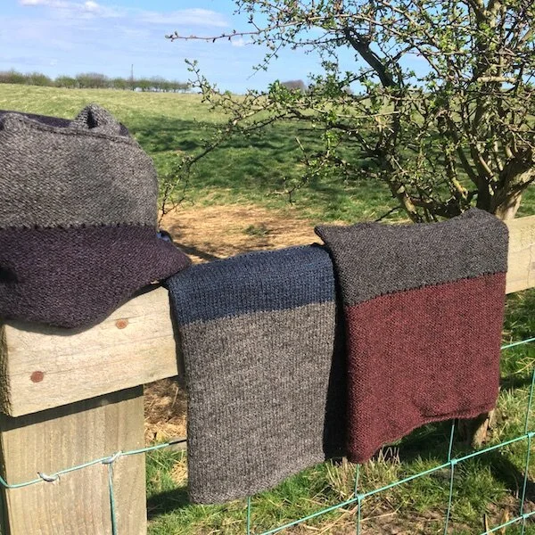 Hotspur by Stella Ackroyd