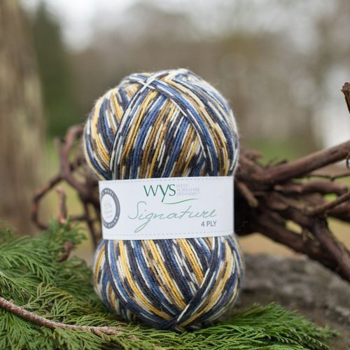 West Yorkshire Spinners Signature 4 Ply - Blue Tit (818)
