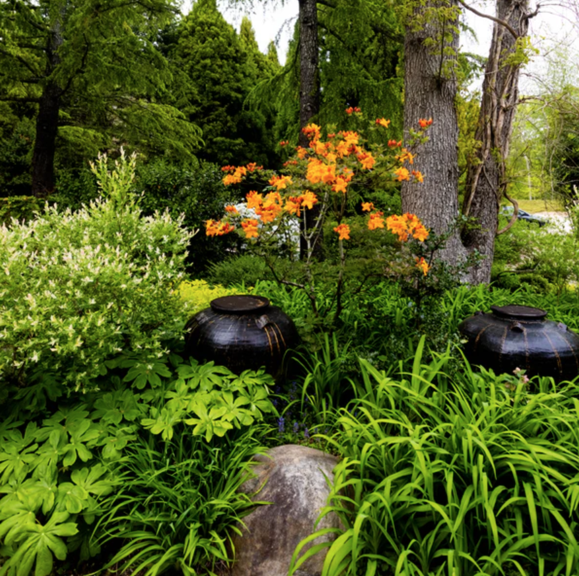 Screenshot 2026-04-04 at 11.23.54.png