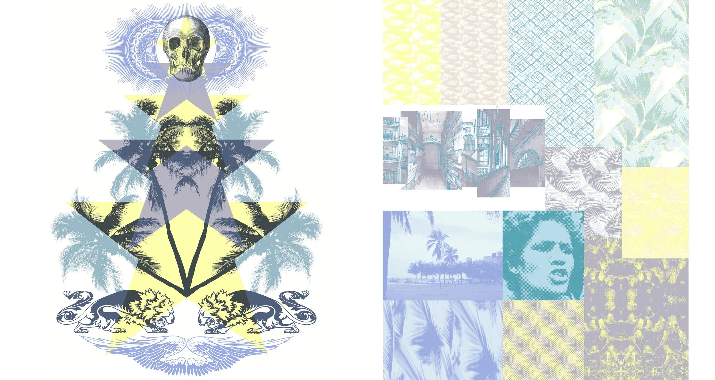 SKULL RAYS.jpg
