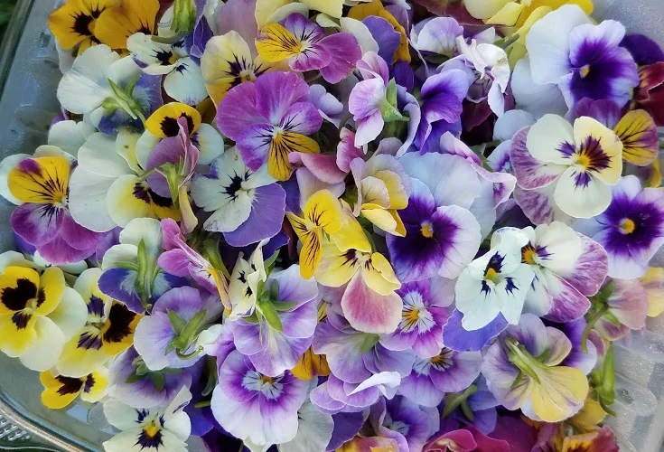 20180802_090804.jpg
