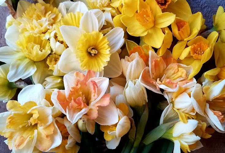 20180426_191214.jpg