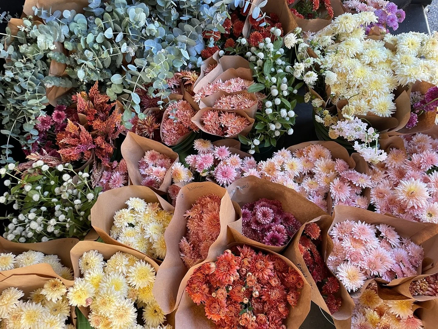 A sweet goodbye to the flowers on Tuesday. Now for the dirty work