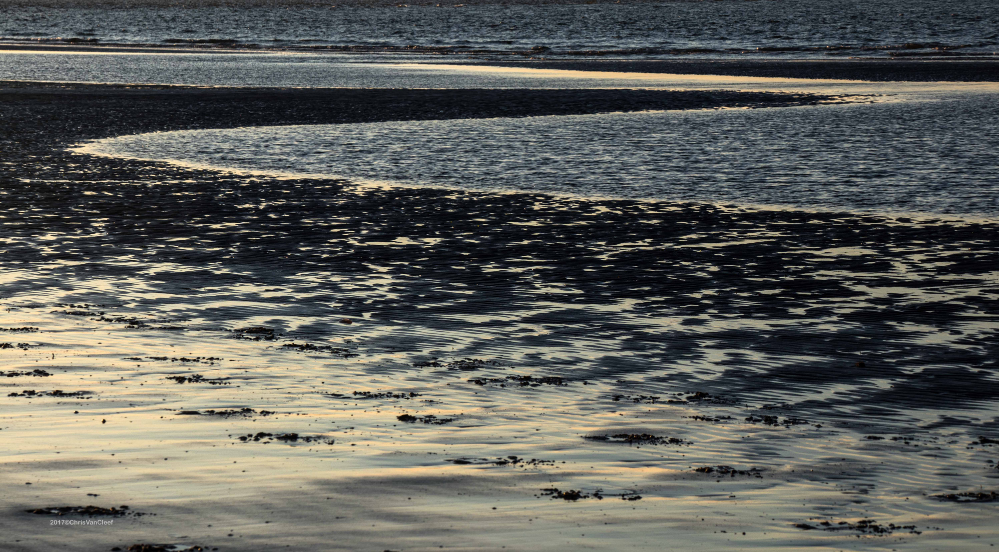 Vrouwenpolder beach