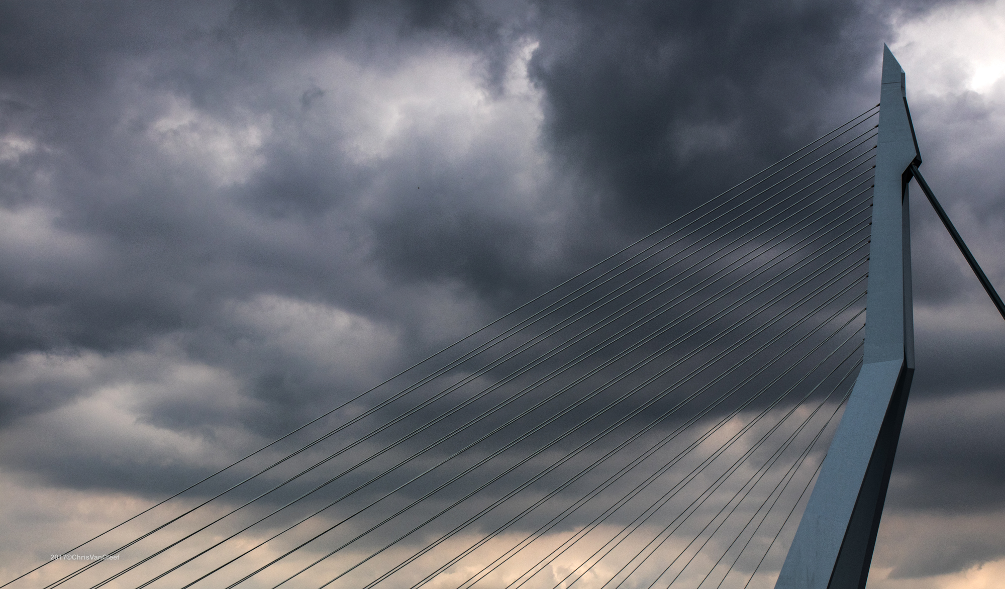 Erasmus Bridge, Rotterdam