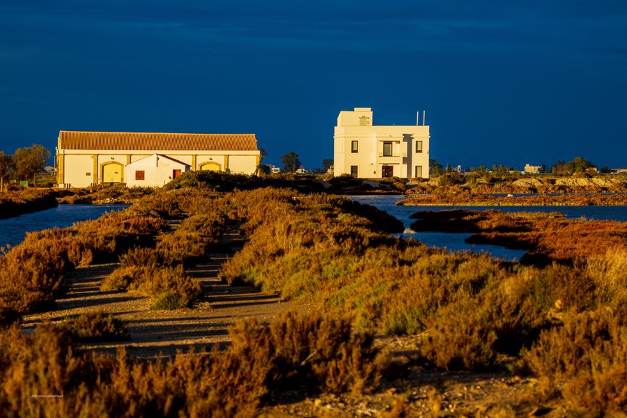 Ebro Delta