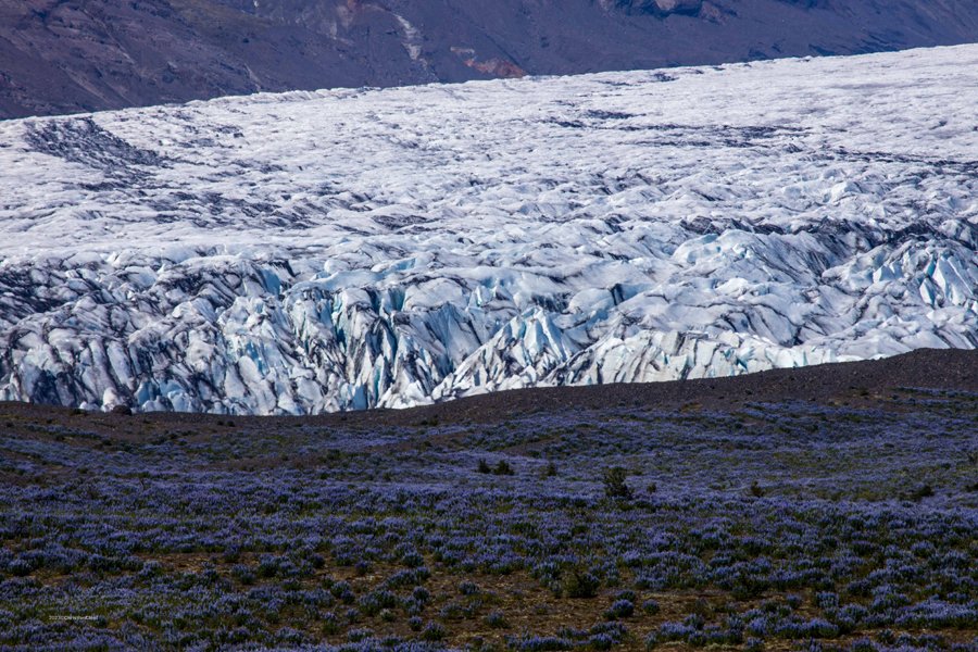 Skeidararjokull