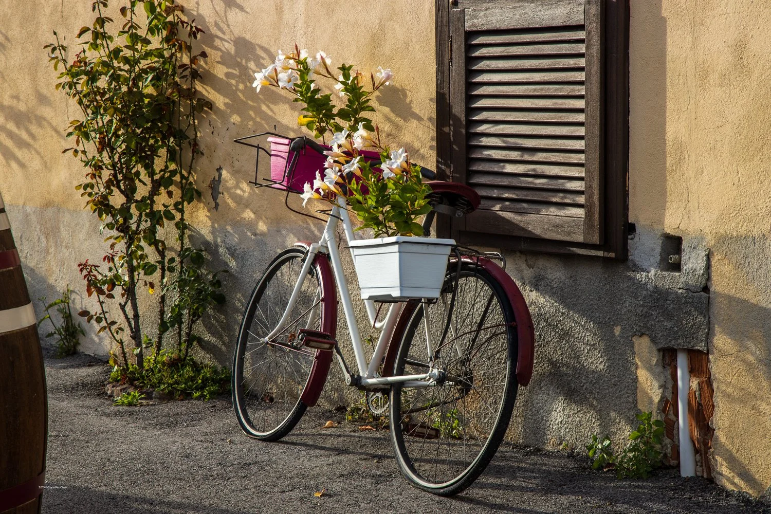 Serralunga d'Alba, Italy