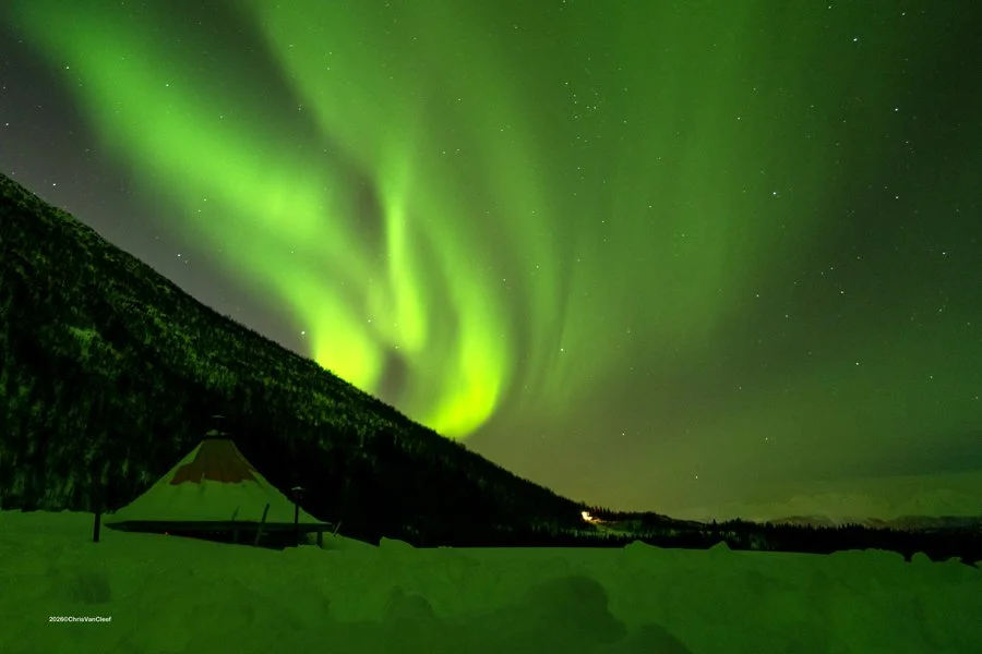 Aurora Borealis, Kvaloya, Norway