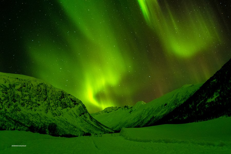 Aurora Borealis, Kvaloya, Norway