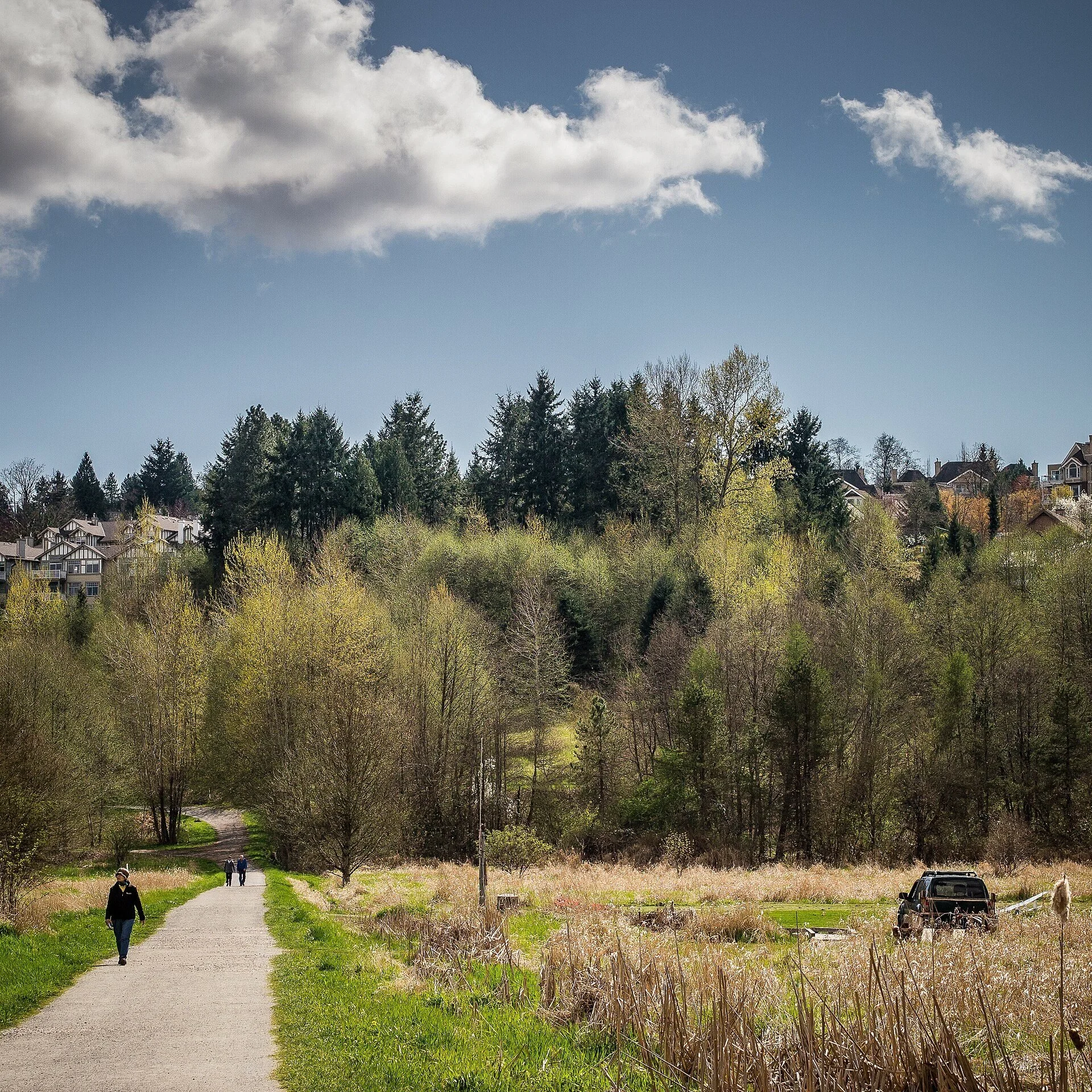 Deer Lake and its shoreline in Burnaby's Deer Lake Park.