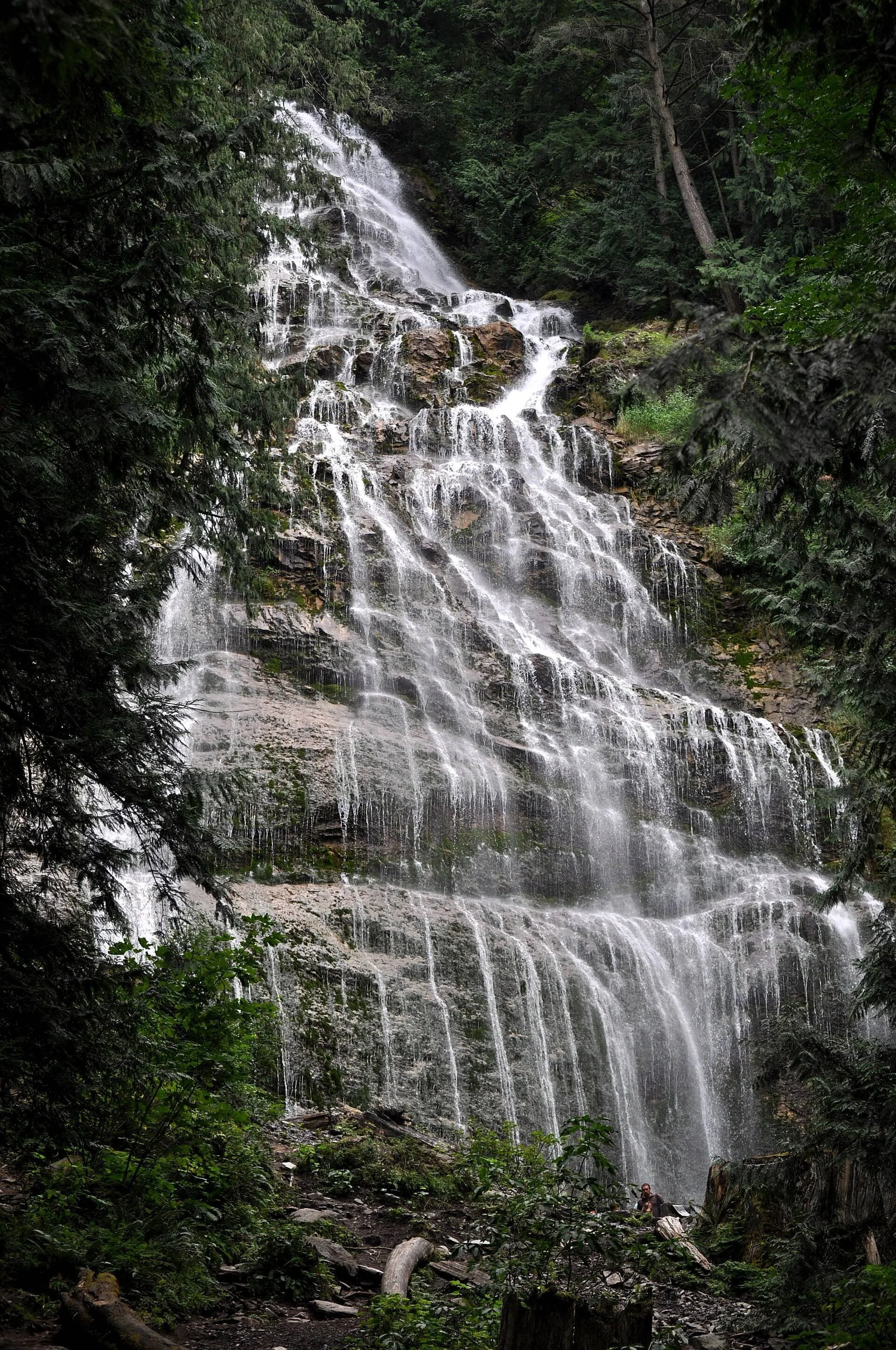 Bridal Veil Falls spilling over a rock face in a forest near Chilliwack, BC.