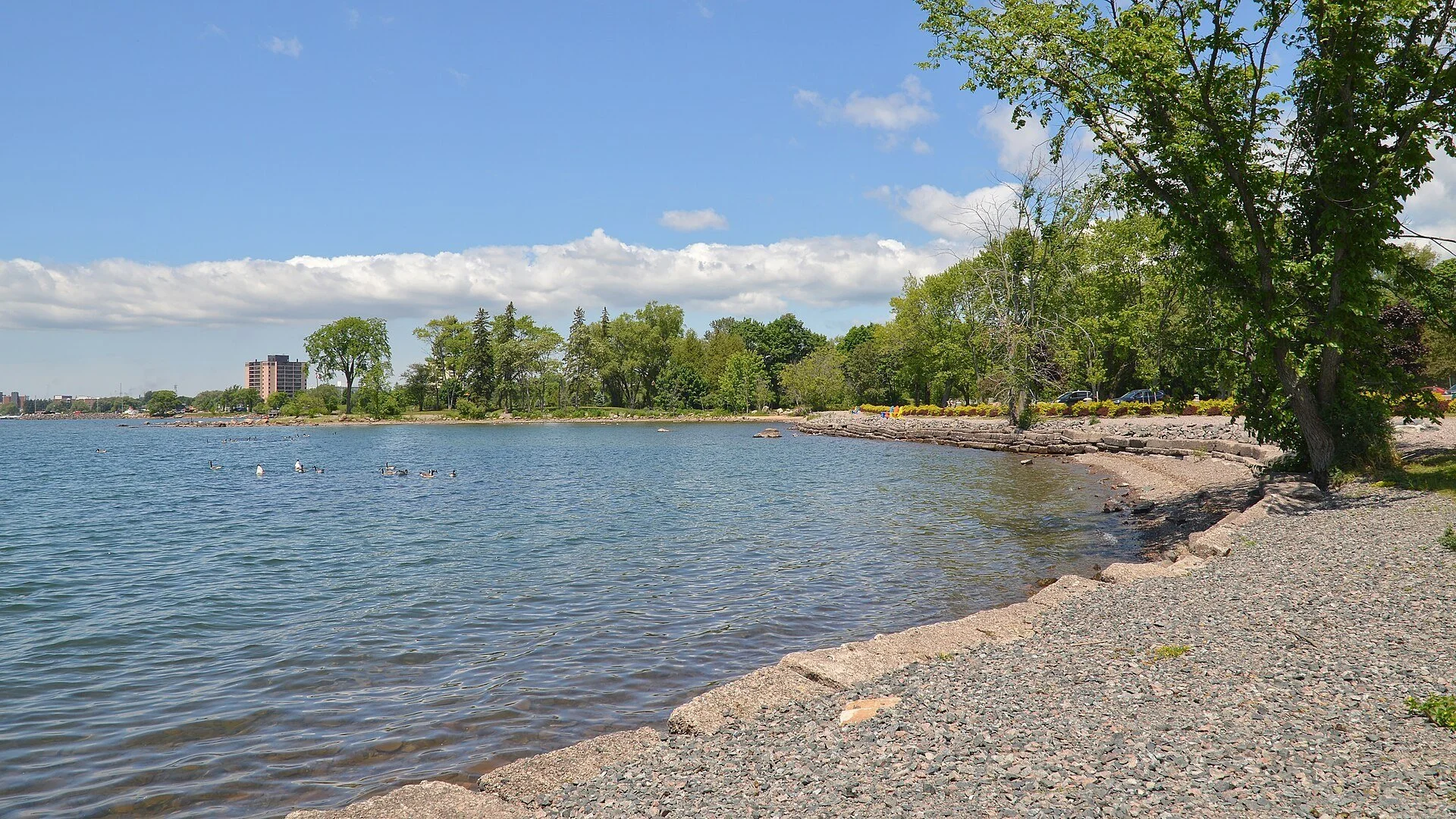 The pebbled shoreline and trees of Bellevue Park on the St. Marys River in Sault Ste. Marie, Ontario.