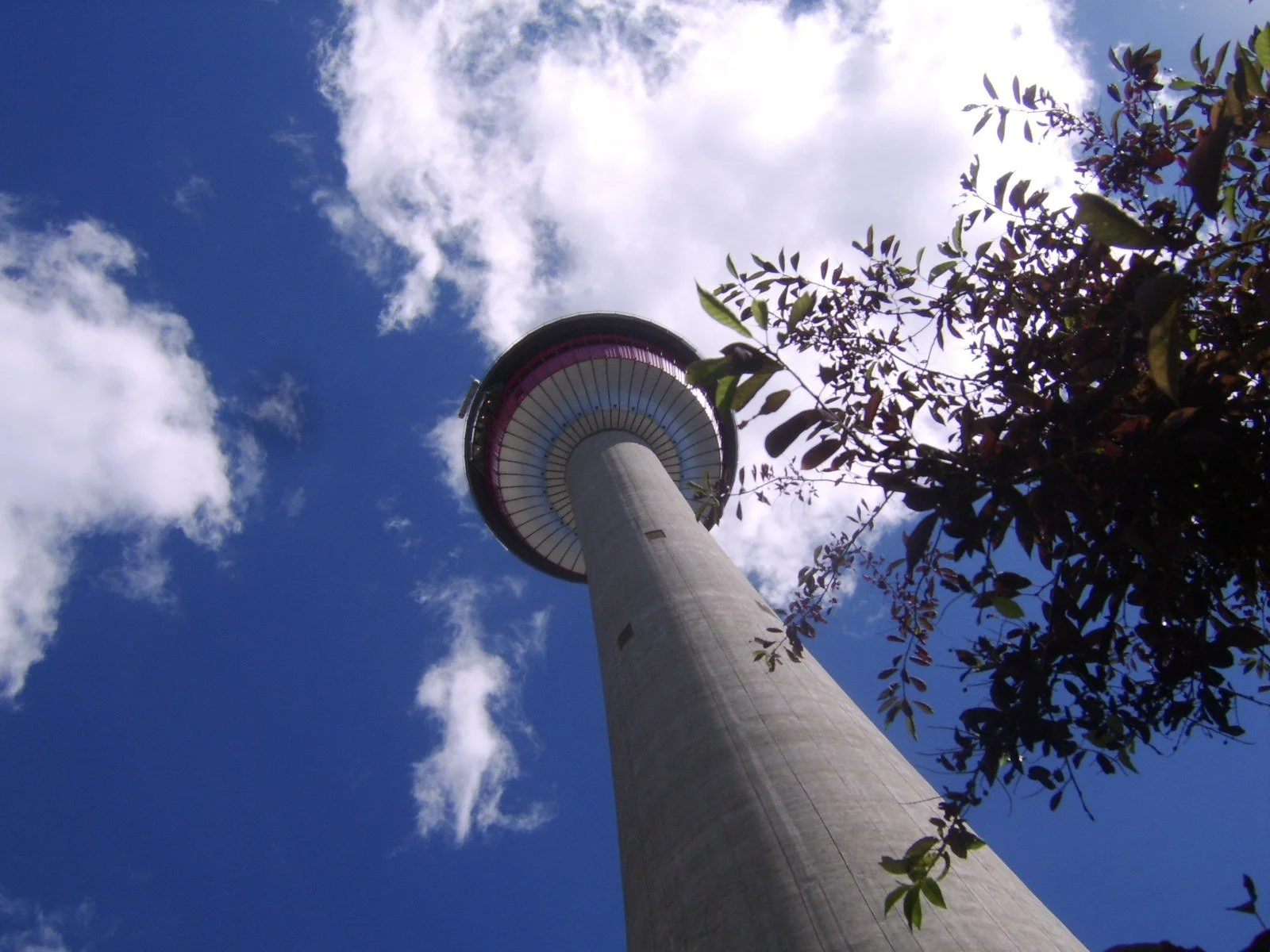 Calgary Date Ideas: Creative and Fun Date Ideas for 2026