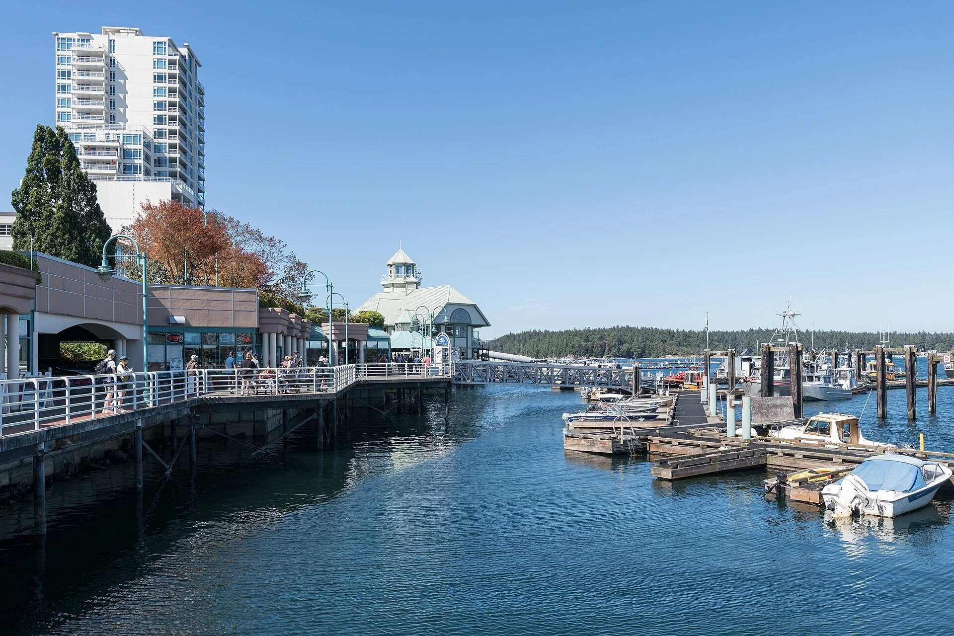 Nanaimo Date Ideas: Creative and Fun Date Ideas for 2026
