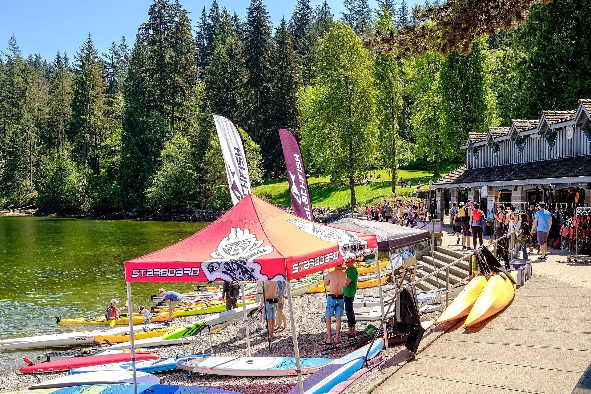Colourful kayaks and paddleboards lined up on the dock at Deep Cove, with evergreen forest and calm water behind.