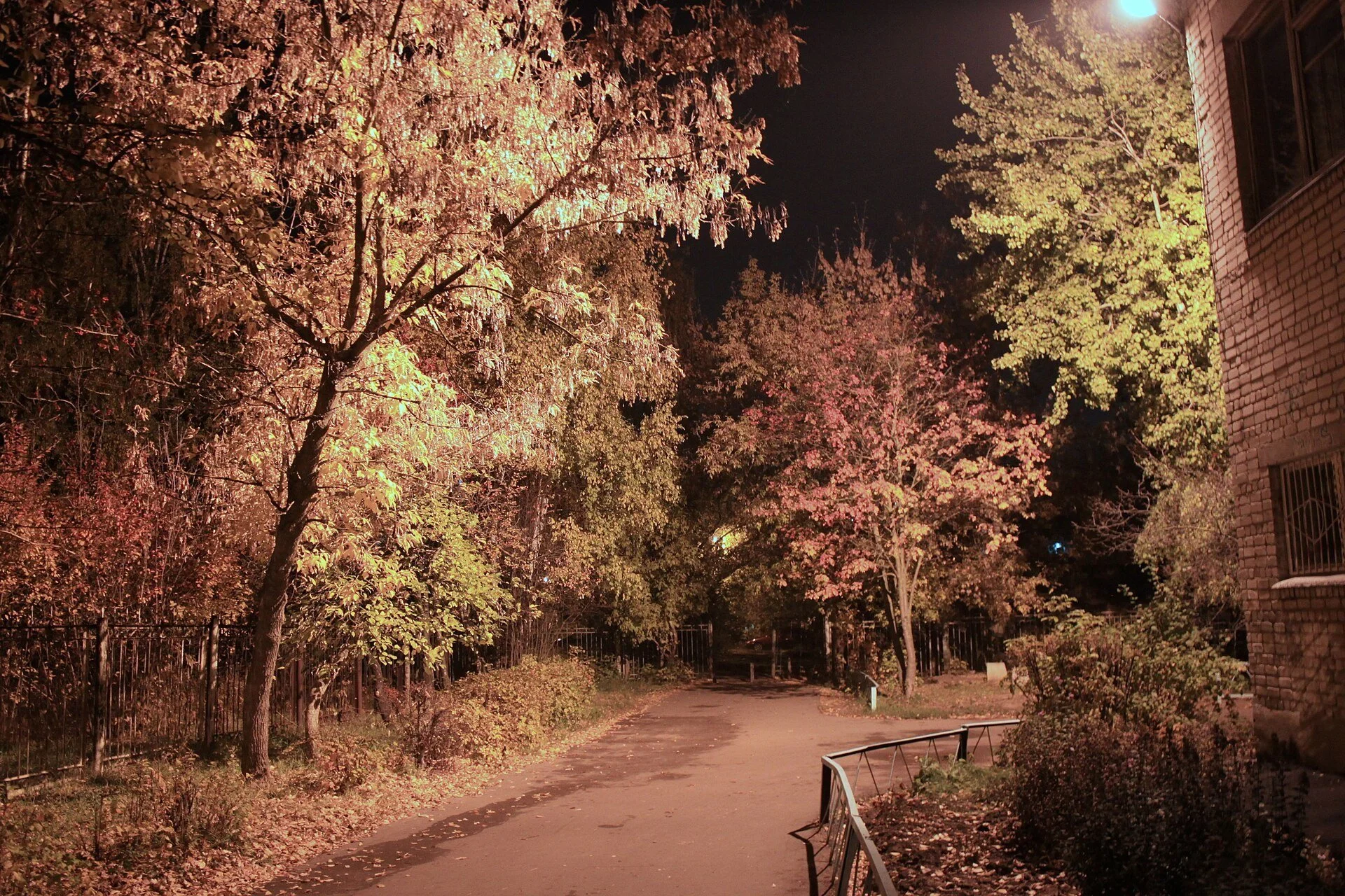 A lit path through autumn trees in the evening in Yorkton.