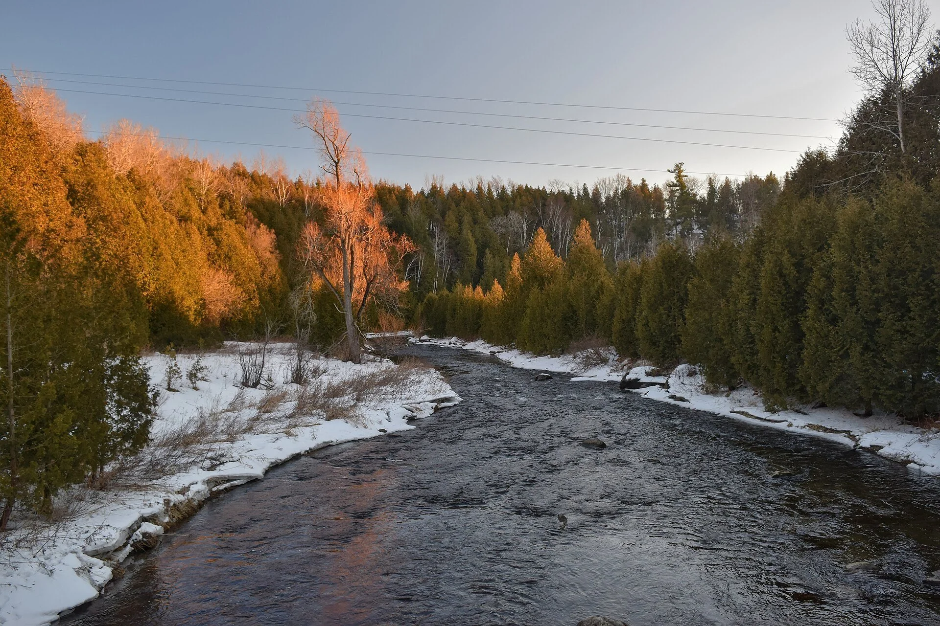 The Credit River running through forest at Forks of the Credit Provincial Park in Caledon, Ontario.