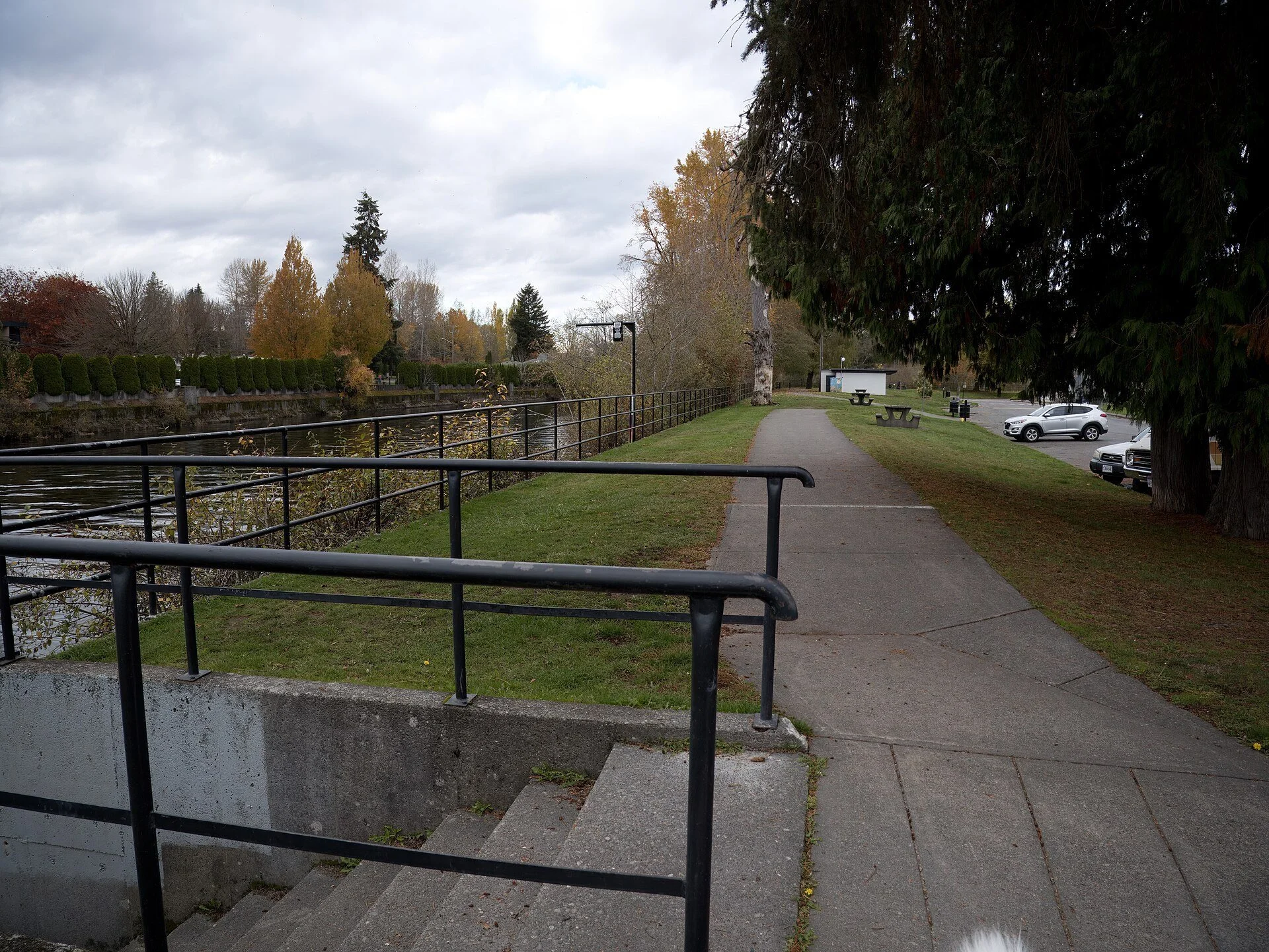 A riverside path with stairs down to the Courtenay River at Lewis Park in Courtenay.