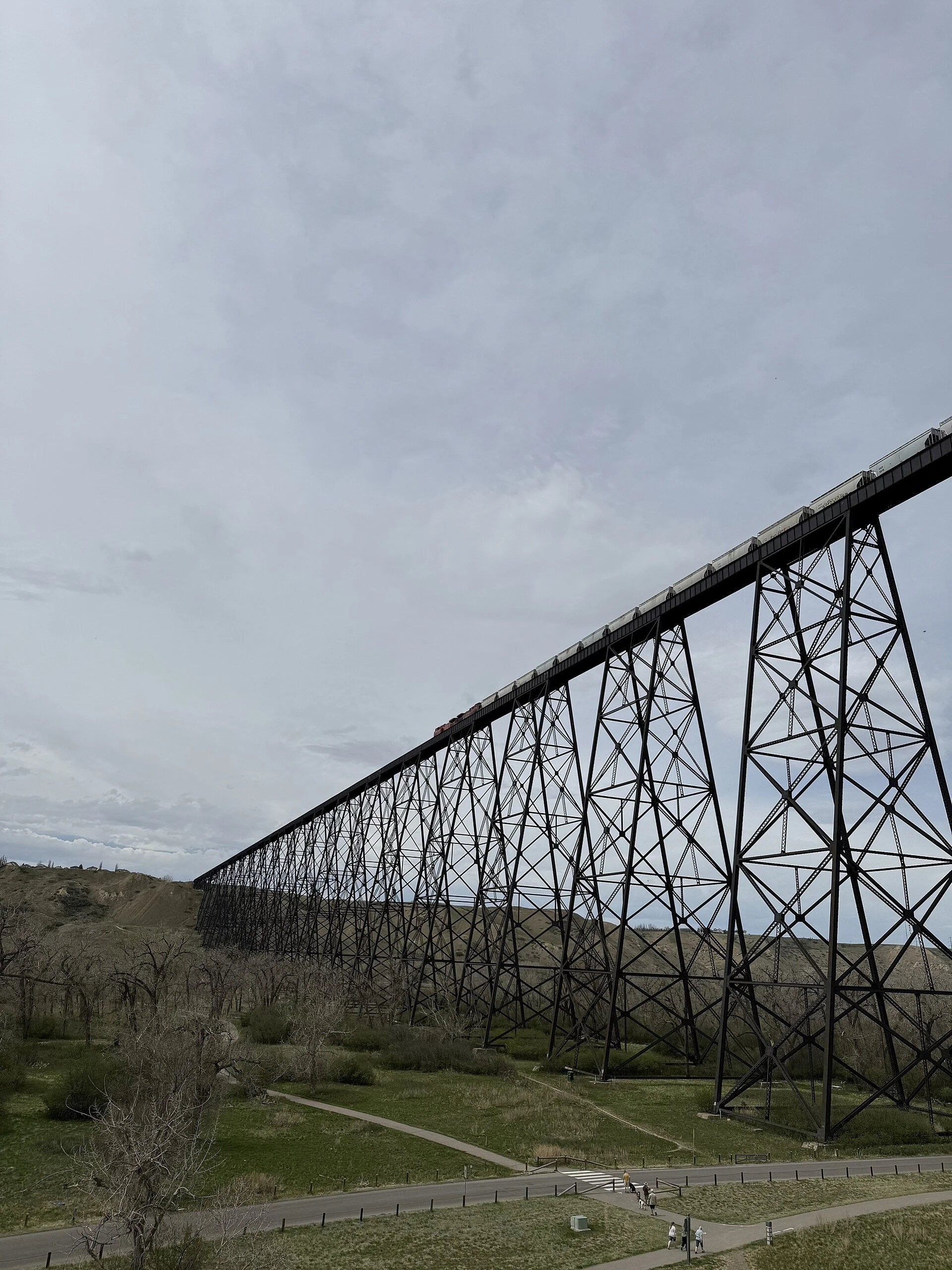 The steel High Level Bridge rising over the trails of Indian Battle Park in Lethbridge, Alberta.