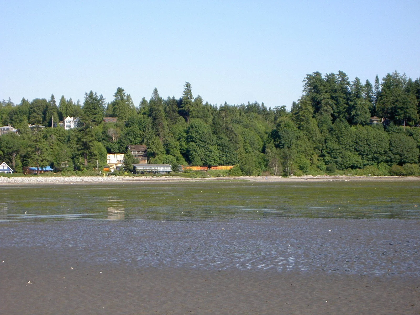 The shoreline at Crescent Beach in South Surrey.