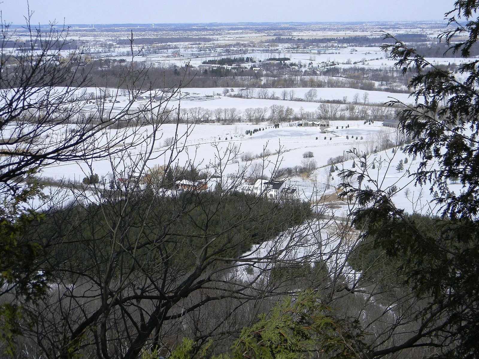 A winter view from the Brock Harris Lookout at Mount Nemo Conservation Area in Burlington, Ontario, over snowy farm fields seen through bare branches.