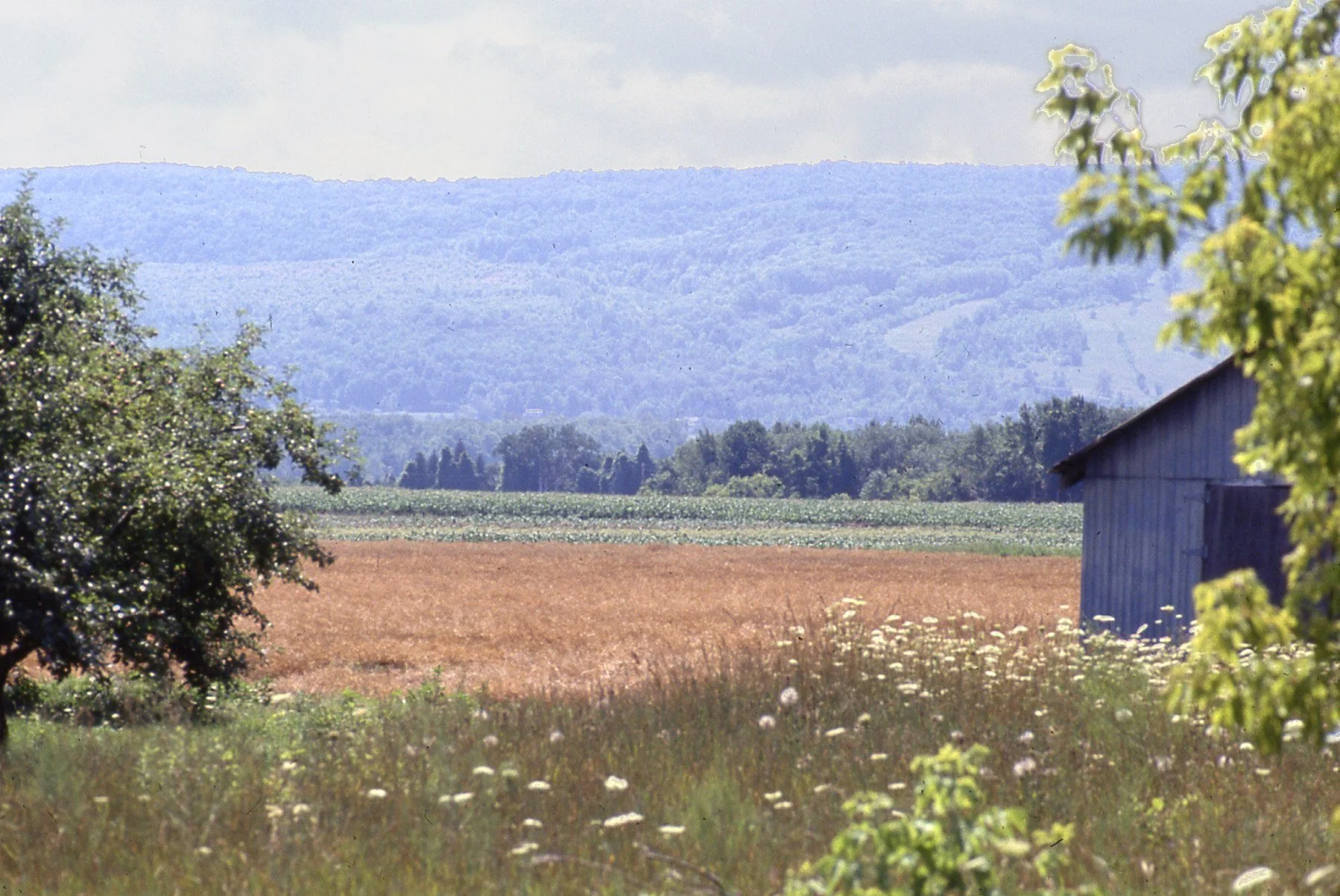 The Blue Mountain escarpment seen from the Collingwood side.