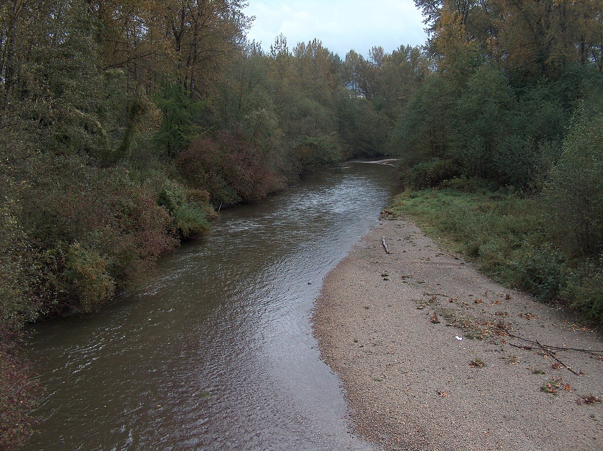 The Coquitlam River running past a gravel bar between autumn trees.
