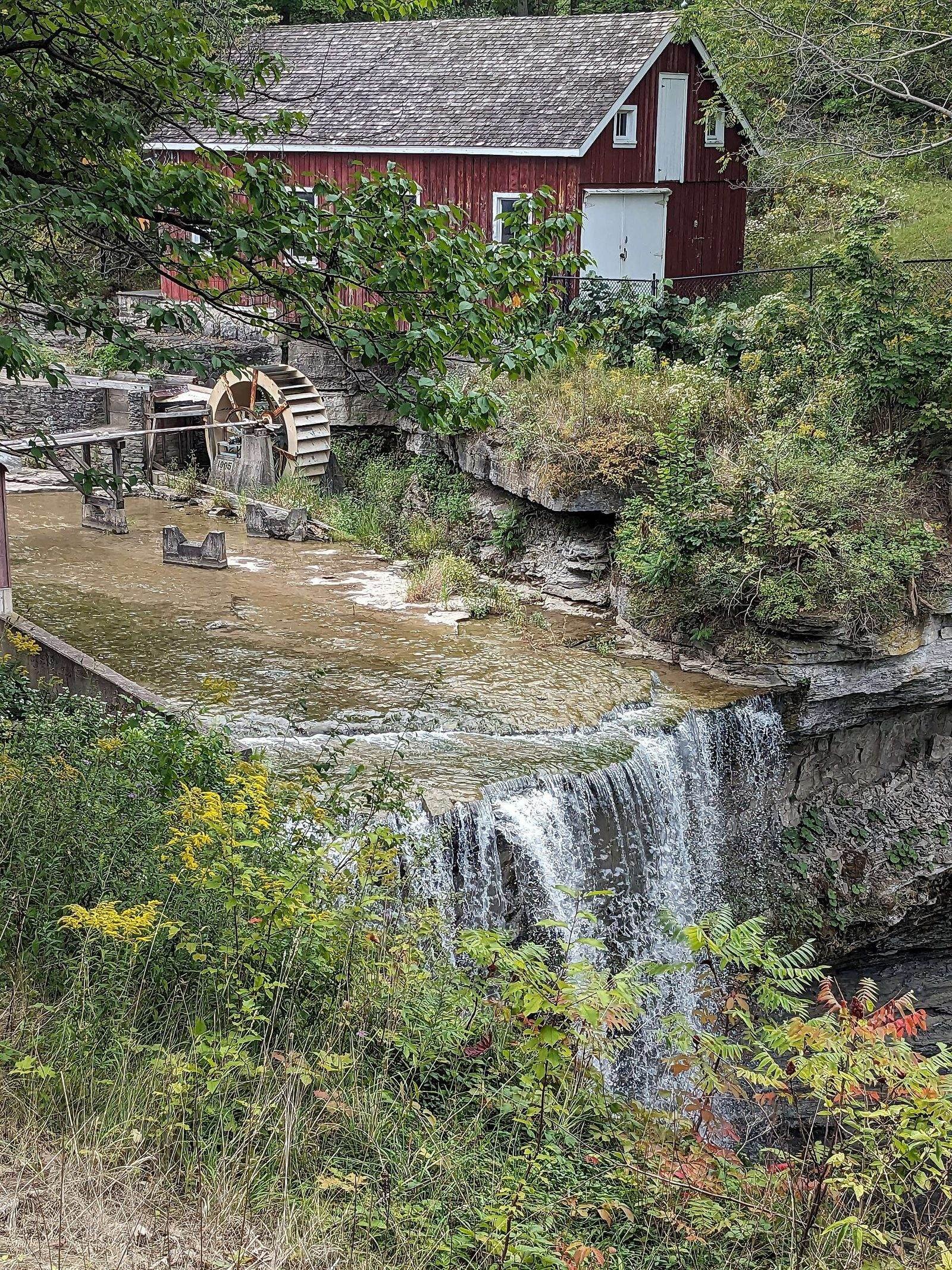 The red Morningstar Mill and its waterwheel above Decew Falls, framed by summer greenery and wildflowers.